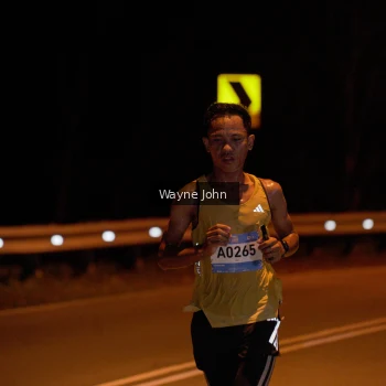 Runner Photo 1467815