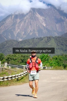 Runner Photo 14808