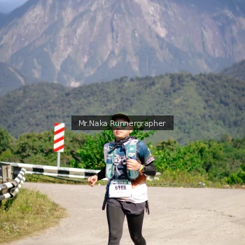 Runner Photo 14837