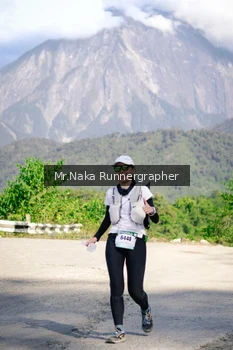 Runner Photo 14879
