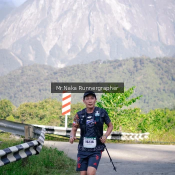 Runner Photo 14903