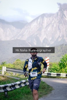 Runner Photo 14906