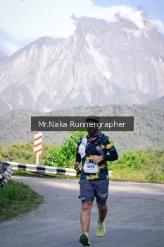 Runner Photo 14908