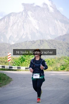 Runner Photo 14912