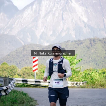 Runner Photo 14932