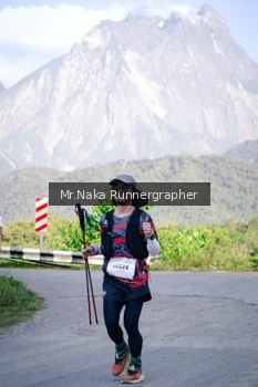 Runner Photo 14933