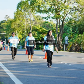 Runner Photo 1495786