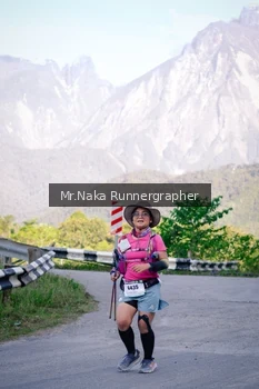 Runner Photo 14966