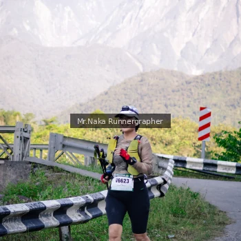 Runner Photo 14968