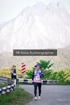 Runner Photo 14979