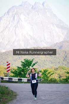 Runner Photo 14981