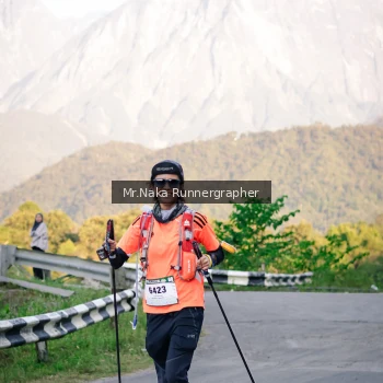 Runner Photo 15041
