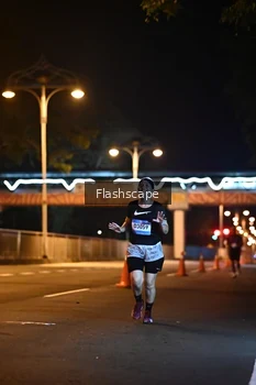 Runner Photo 1504293