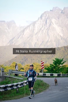 Runner Photo 15044