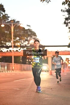 Runner Photo 1505703