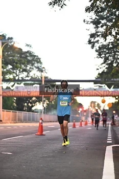 Runner Photo 1505824