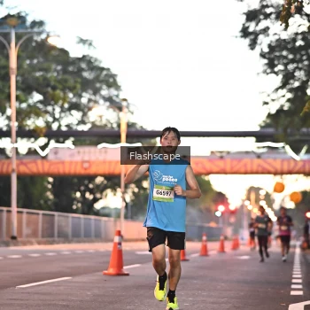 Runner Photo 1505825
