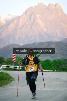 Runner Photo 15066