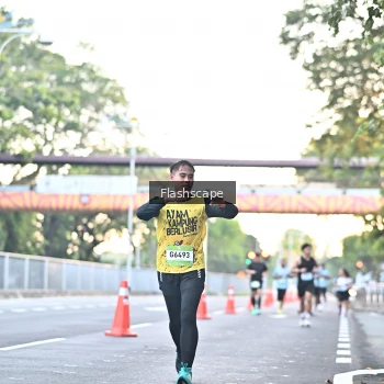 Runner Photo 1507399