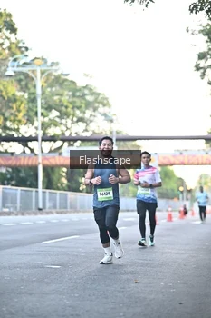 Runner Photo 1507736