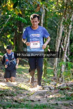 Runner Photo 15079