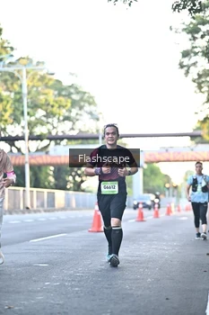 Runner Photo 1508226