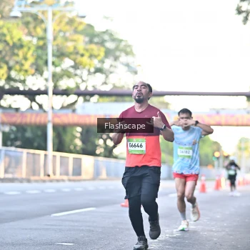 Runner Photo 1508340