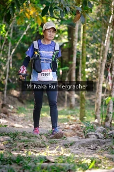 Runner Photo 15086