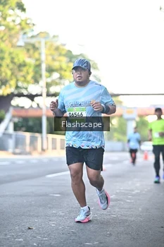 Runner Photo 1509168