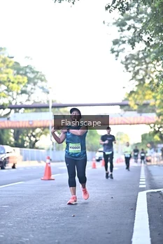 Runner Photo 1509298