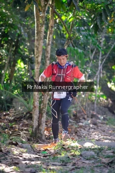 Runner Photo 15095