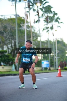 Runner Photo 1527221