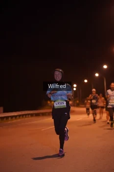 Runner Photo 1528388