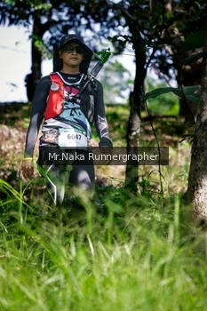 Runner Photo 15329