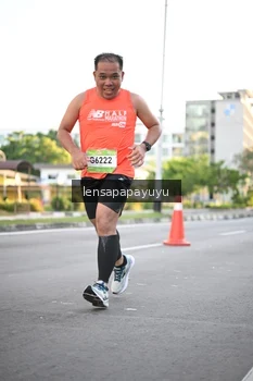 Runner Photo 1534576