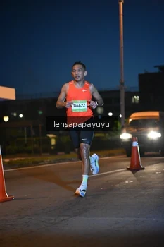 Runner Photo 1537688