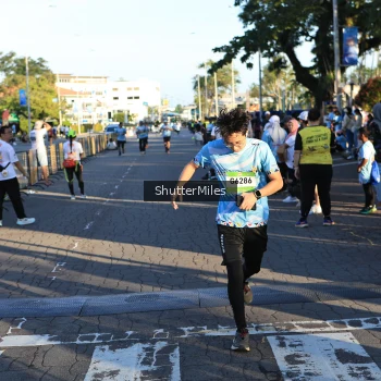 Runner Photo 1542505