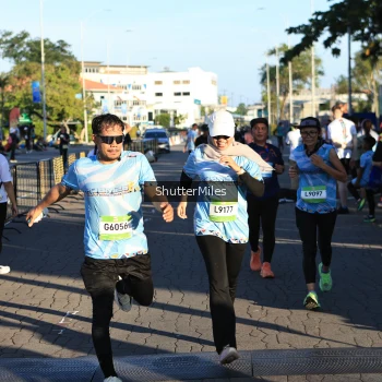 Runner Photo 1542841