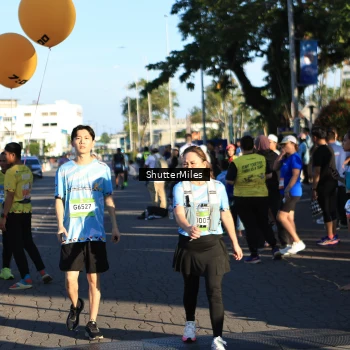 Runner Photo 1542894