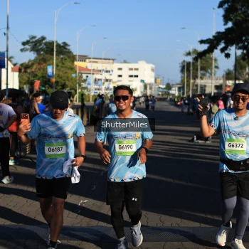 Runner Photo 1544900