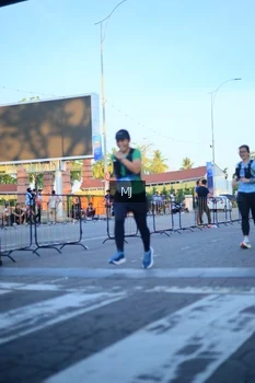 Runner Photo 1545832