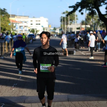 Runner Photo 1545941