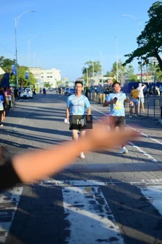 Runner Photo 1546772