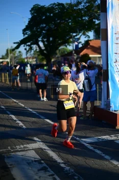 Runner Photo 1546793