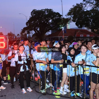 Runner Photo 1549333