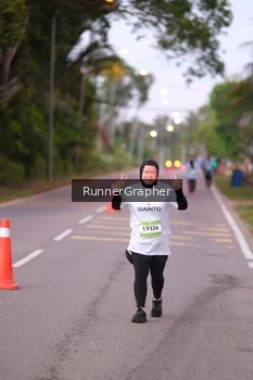 Runner Photo 1554815