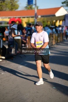 Runner Photo 1557503