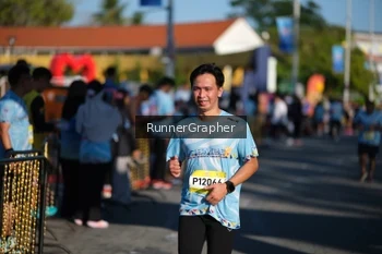 Runner Photo 1557641