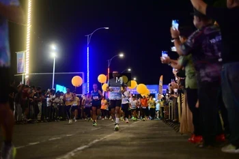 Runner Photo 1563858
