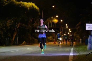 Runner Photo 1571567